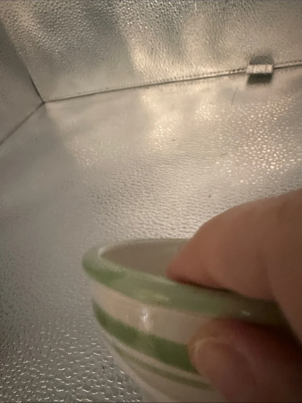 Vintage Williams and Sonoma Hand-Painted Rosemary Herb Bowl - Green and Cream